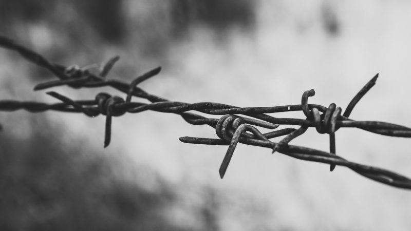 featured-image-wire featured-image-wire
